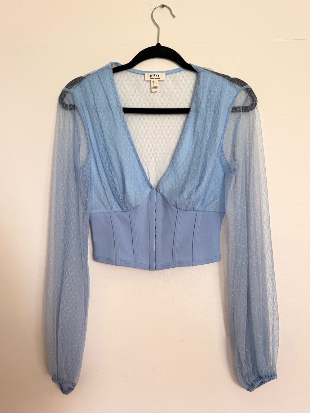 Blue Sheer Sleeve Crop corset Top